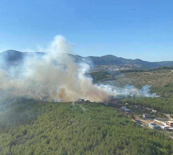 İzmir’de orman yangını