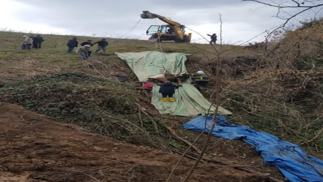 Bataklığa saplanan inek kurtarıldı