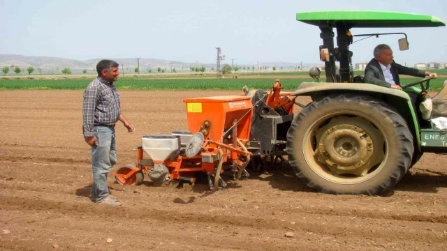 Bayrama günler kala ekimine başlandı