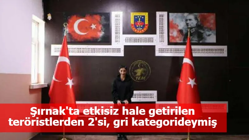 Şırnak'ta etkisiz hale getirilen teröristlerden 2'si, gri kategorideymiş