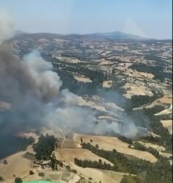 Manisa'da orman yangını çıktı