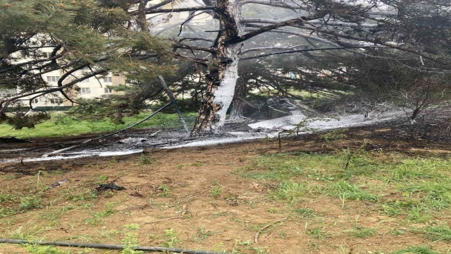 Bilecik’te kız yurdu arkasında çıkan yangın korkuttu