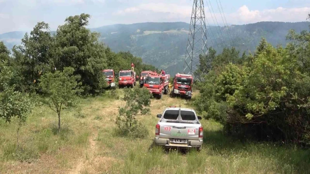 Bursa’da orman yangını