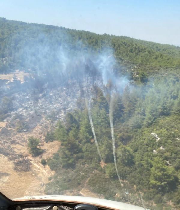 İzmir'de serada çıkan yangın, ormana sıçradı