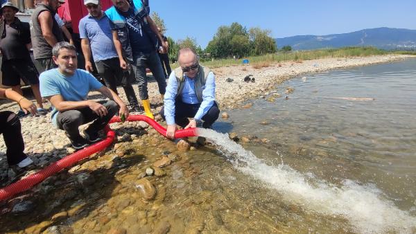 İznik Gölü'ne 1 milyon 43 bin sazan yavrusu salındı