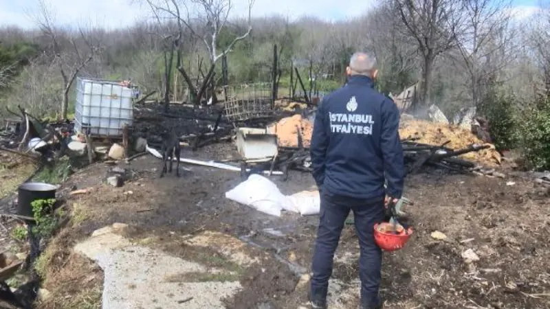 Beykoz'da ahır yangını: 1 inek ve 1 köpek öldü
