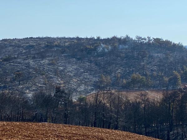 Manisa'daki orman yangını 13,5 saat sonra kontrol altında