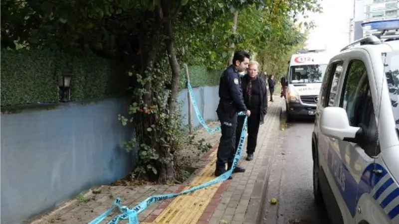 Ayva toplamak için çıktığı ağaçta fenalaşıp, öldü