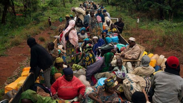 Çatışmalardan kaçan 13 bin Kongolu Uganda'ya sığındı