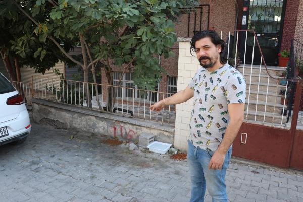 İzmir'de zehirli yiyecek verilen 2 kedi öldü