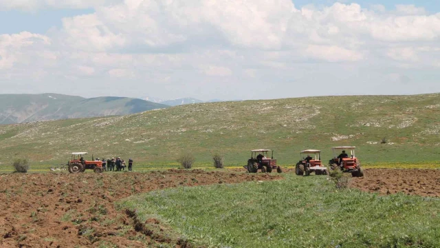 Çeyrek asrı aşkın ekilmeyen tarım arazileri ekonomiye kazandırılacak