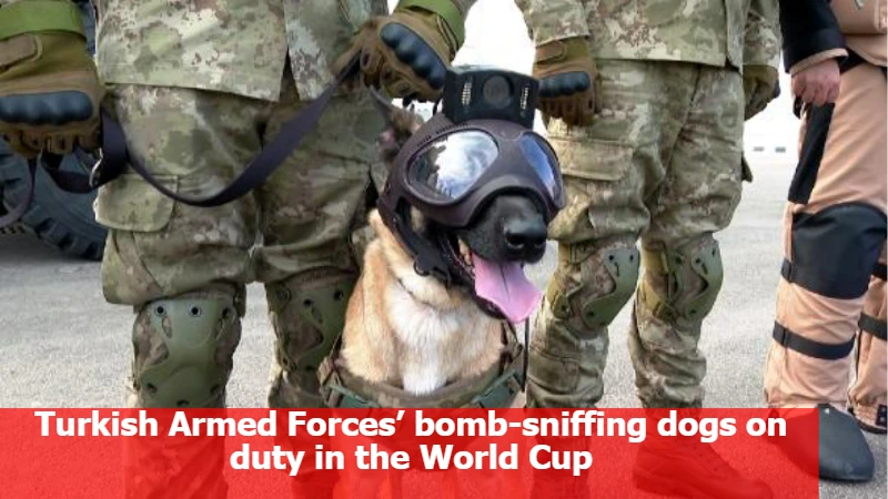 Turkish Armed Forces’ bomb-sniffing dogs on duty in the World Cup