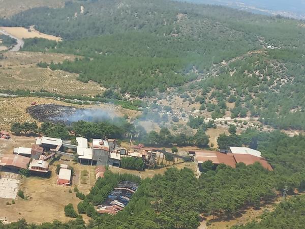 Manisa'da orman yangını; 5 dönüm alan zarar gördü