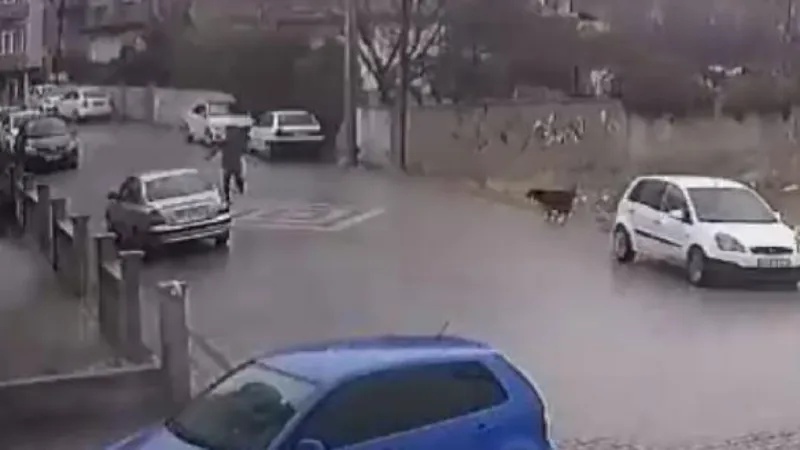 Köpeklerin saldırısından aracın üstüne çıkarak kurtuldu; o anlar kamerada