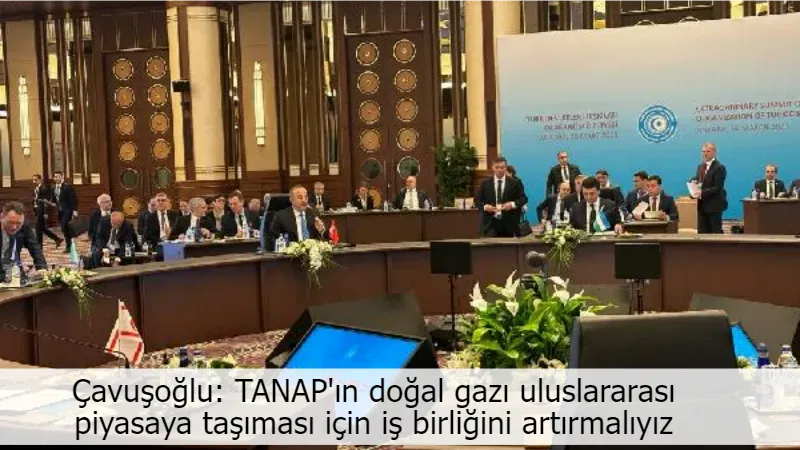 Çavuşoğlu: TANAP'ın doğal gazı uluslararası piyasaya taşıması için iş birliğini artırmalıyız