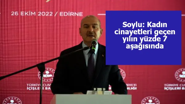 Soylu: Kadın cinayetleri geçen yılın yüzde 7 aşağısında