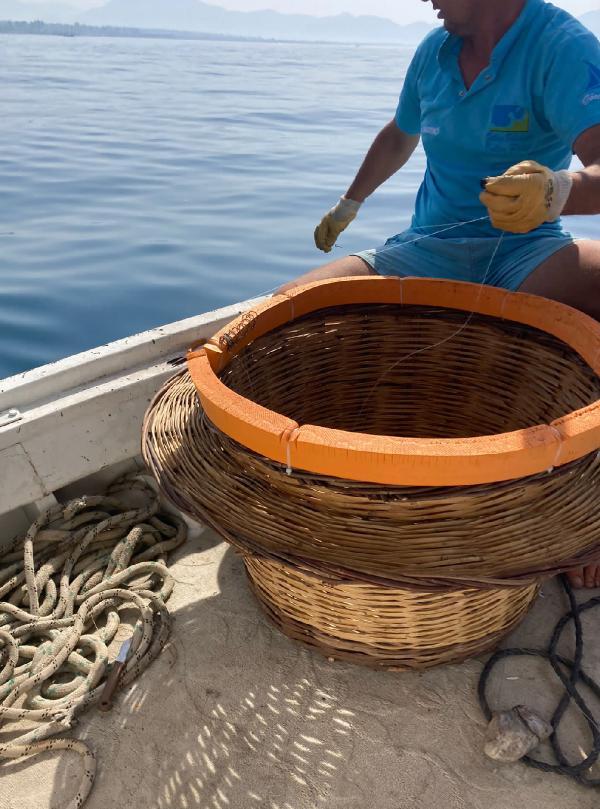 Caretta carettaları kurtaracak 3 yöntem