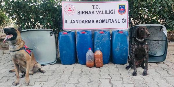 Şırnak'ta kaçakçılık operasyonlarında 3 tutuklama