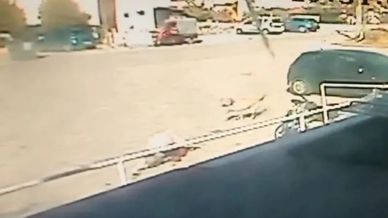 Edirne'de sokak köpeklerinin saldırdığı 12 yaşındaki Umut, ağır yaralandı