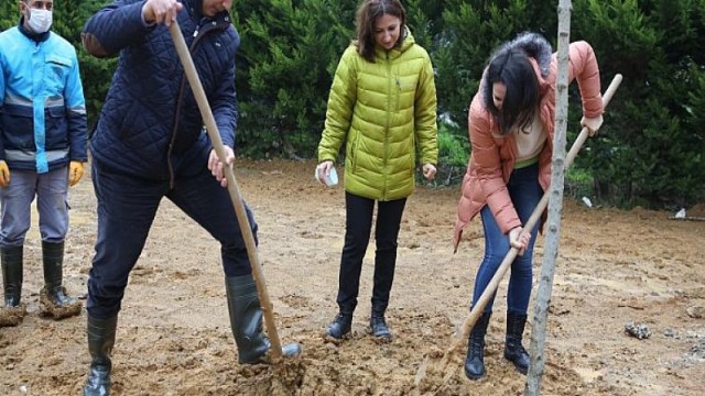 Daha Yeşil Bir Çevre İçin Fidan Diktiler