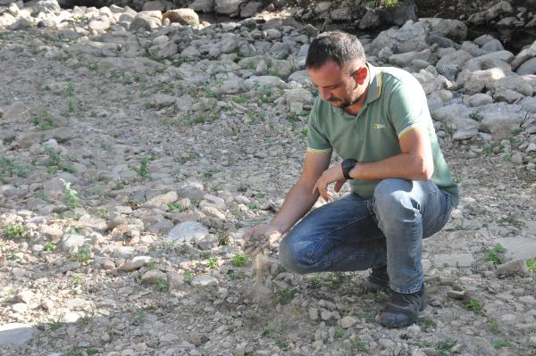 Karadeniz'de içme suyu kaynaklarının ardından dereler de kurumaya başladı