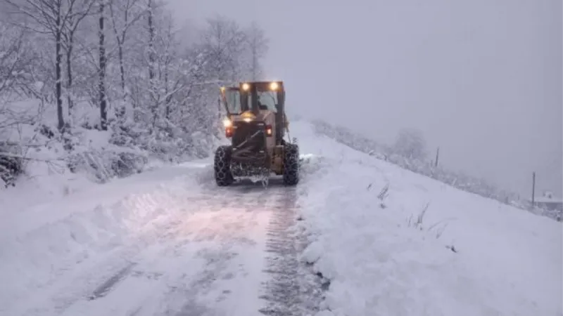 Doğu Karadeniz'de kar; 201 köy ve mahalle yolu kapandı