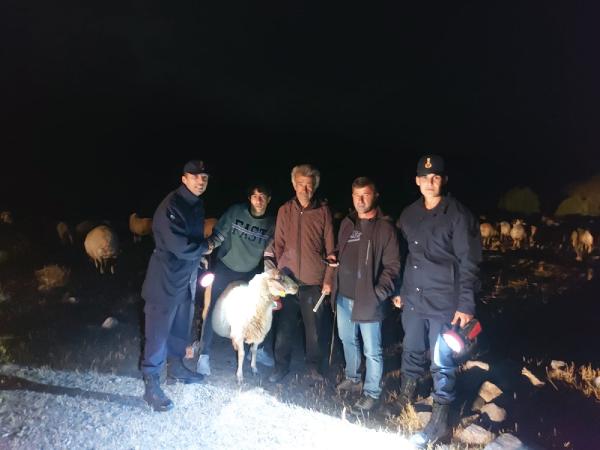 Jandarma, kaybolan 50 koyunu dronla buldu