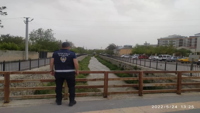 Derede kaçak avlanan inci kefali balığı yeniden suya bırakıldı