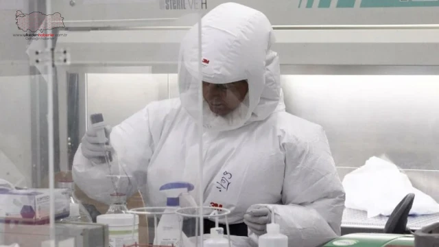 Dünya Sağlık Örgütü’nden yeni Covid-19 mutasyonları: Omicron BA.4 ve BA.5 geliyor