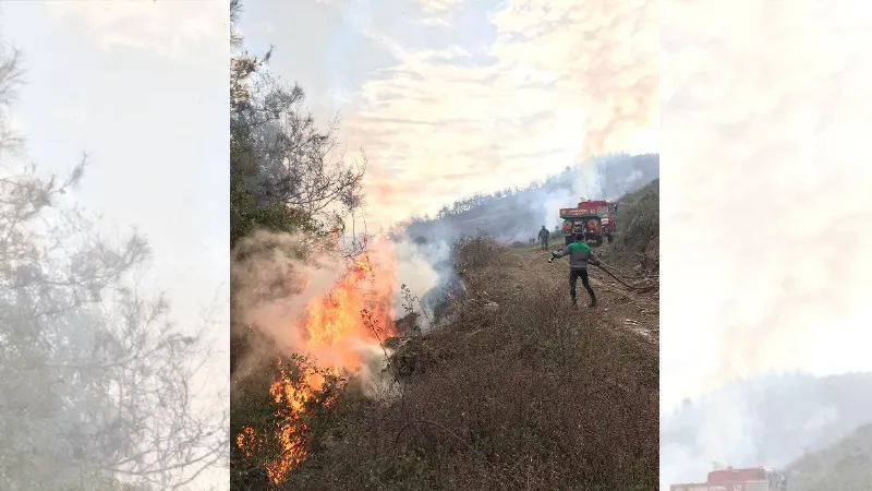 Ormanı 17 farklı noktadan ateşe verdiği ileri sürülen şüpheli tutuklandı