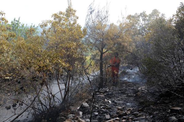 Antalya’da 5 hektar orman yandı