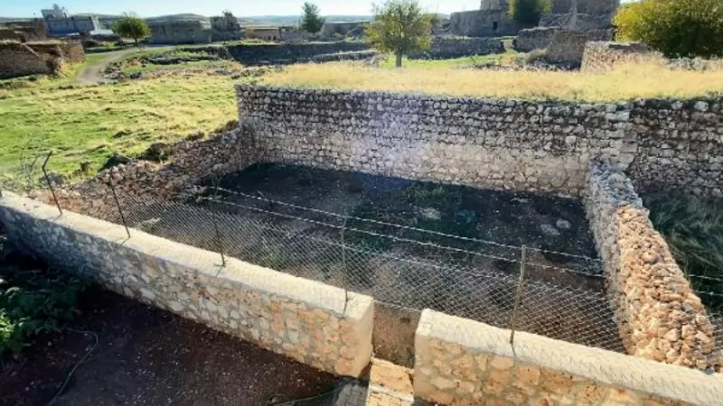 Süryani rahibenin 36 yıl sonra döndüğü köyünde diktiği zeytin fidanlarını kırdılar