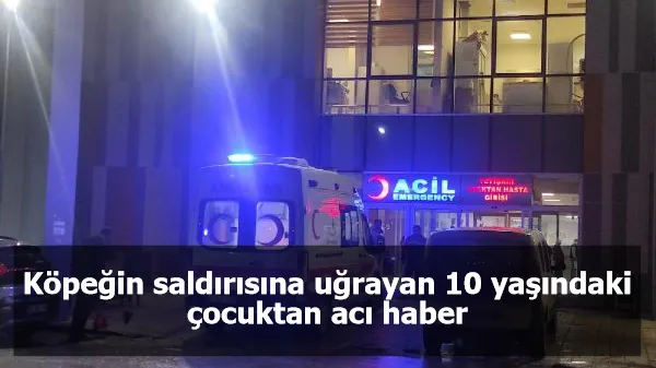 Köpeğin saldırısına uğrayan 10 yaşındaki çocuktan acı haber