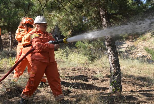 Orman yangınlarına karşı 'gönüllü' kalkanı