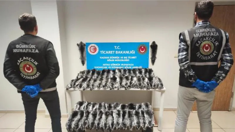 Aktaş Gümrük Kapısı'nda 2 milyon liralık çinçilla postu ele geçirildi
