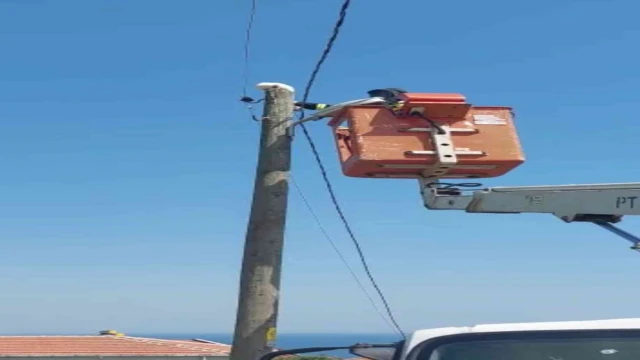 Elektrik direğinde kedi kurtarma operasyonu