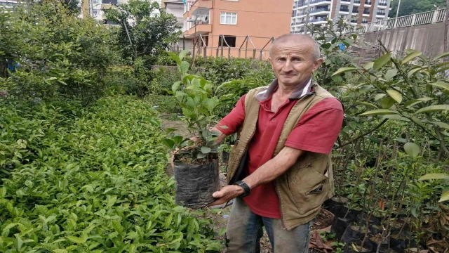 Emekli olduktan sonra hobi olarak başladığı fidan yetiştiriciliği mesleği oldu