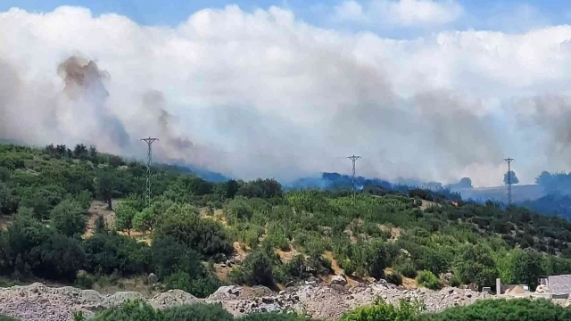 Ezine’de ziraat ve orman yangını