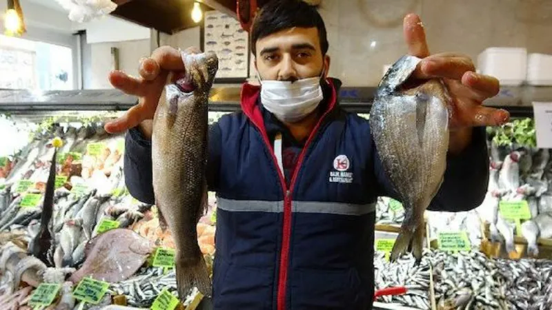 'Son 40 yılın en verimsiz hamsi sezonunu geçirdik'