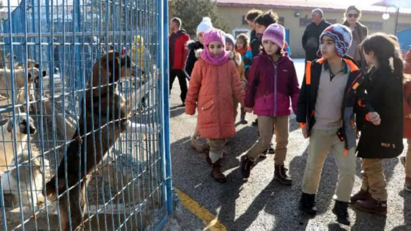 Barınakta gördükleri hayvanların resmini yaptılar