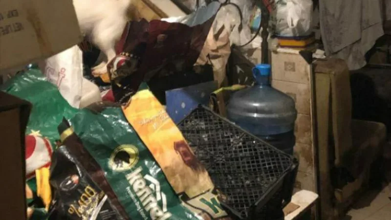 Evinde köpek ve kedi ölüsü bulunan Hikmet Akarca'ya 'Diyojen sendromu' incelemesi