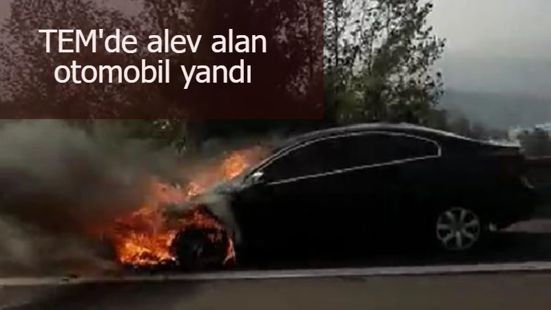 TEM'de alev alan otomobil yandı