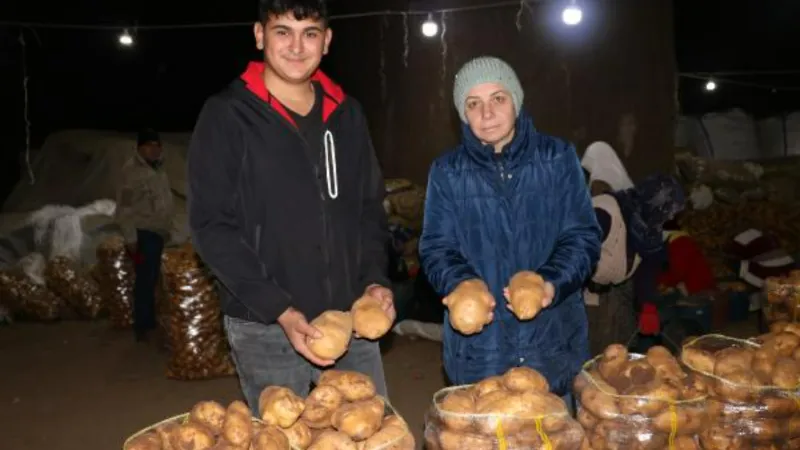 Sandıklı patatesi, mağara depolardan satışta