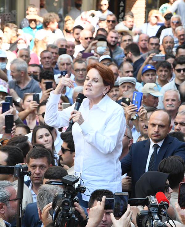 Meral Akşener: Kuru ayçiçeğinin fiyatı 16.5 TL olmalı