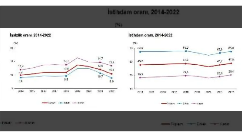 TÜİK: 2022 yılı işsizlik oranı yüzde 10,4