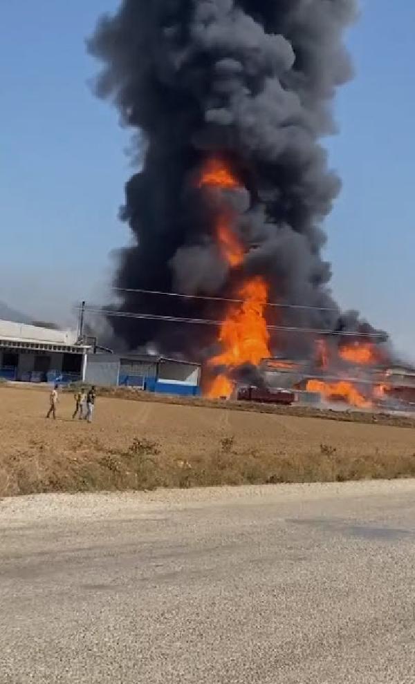 İzmir'de, kozmetik fabrikasında yangın