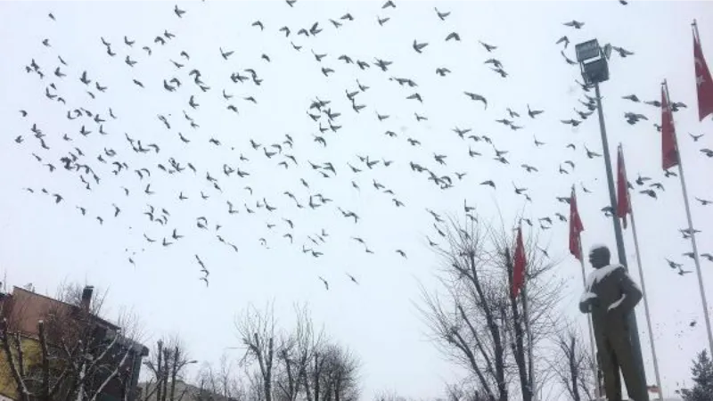 Ardahan ve Erzincan'da kar yağışı