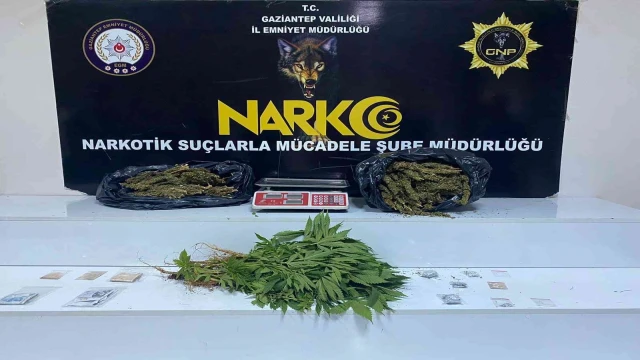 Gaziantep’te 3 kilo esrar ile 41 kök kenevir ele geçirildi
