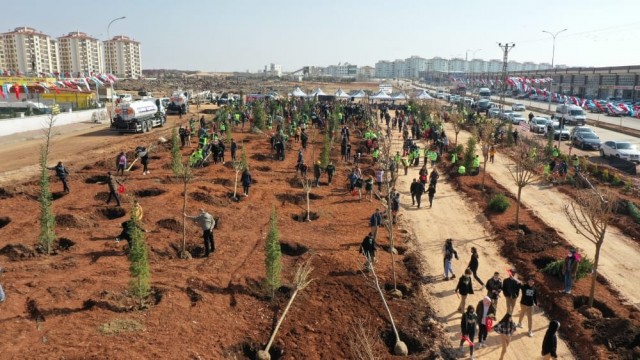 Gaziantep’te şehit isimleri ağaçlarda yaşatılacak