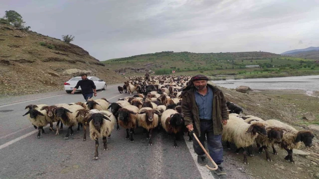 Havalar ısındı, göçerlerin zorlu yolculuğu başladı